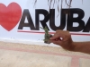 # 149 Charles in aruba