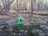 #163 TJ in North Carolina