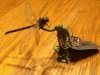 #164 Justin fights off a dragonfly i NJ