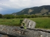 #83 Lemuel in Wyoming