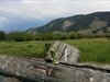 lemuel 83 jackson Hole wy